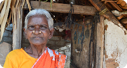 Elderly Care Support