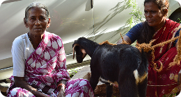Disaster Response & Relief Support